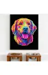 Diamond Dotz Haft diamentowy - Adults Flocked Neon Golden Retrieve 35.5x45.7cm