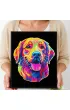 Diamond Dotz Haft diamentowy - Adults Flocked Neon Golden Retrieve 35.5x45.7cm