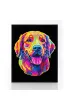 Diamond Dotz Haft diamentowy - Adults Flocked Neon Golden Retrieve 35.5x45.7cm