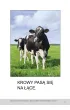 Wie�. Bardzo proste czytanki dla dzieci