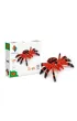 Origami 3D. Paj�k Alexander