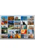 Puzzle 1000 el. Nowy Jork, USA Enjoy