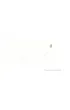 Nied�wied� i szept wiatru