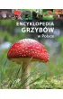 Encyklopedia grzyb�w w Polsce