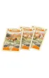 Great Western Trail. Druga Edycja