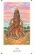 Karty Tarot Vision Quest GB