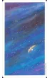 Karty Tarot Vision Quest GB