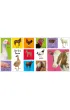 My First 100: Animals