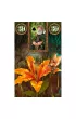 Wyrocznia Lenormand Wr�ek - Fairy Lenormand Oracle
