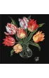 Ideyka Malowanie po numerach - Eleganckie tulipany 40x40cm