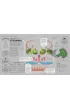 The Science of Cooking