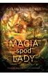 Magia spod lady