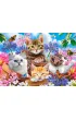 Puzzle 500 el. Kittens with Flowers Castorland