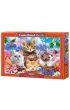 Puzzle 500 el. Kittens with Flowers Castorland
