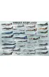 Puzzle 1000 el. Nowoczesne samoloty bojowe Eurographics