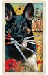 Wise Dog Tarot, karty do wr�enia