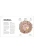 Science of Beauty, The. Debunk the Myths and Discover What Goes into Your Beauty Routine wer. angielska
