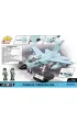 Armed Forces. Panavia Tornado Ids