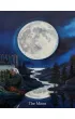 Ancestral Path Tarot