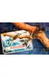 Pteranodon. Ksi��ka i puzzle 3D Wilga Play
