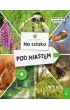 M�odzi przyrodnicy. Na szlaku. Pod miastem