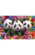 Puzzle PQ 200 el. Trzy pandy Schmidt
