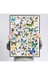 Puzzle Puzzlove CzuCzu 1000 el. Motyle Bright Junior Media