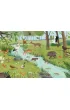 Puzzle 3 24 Le�ne zwierz�ta Schmidt