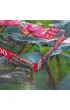 Puzzle 500 el. Pink Lotus Flowers CherryPazzi