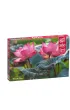 Puzzle 500 el. Pink Lotus Flowers CherryPazzi