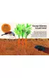 Britannica. Wielka ksi�ga pyta� dlaczego