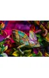 Puzzle 500 el. Kameleon Ravensburger