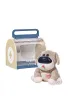 Zabawka interaktywna Dr. Dog 36m+ Top Bright