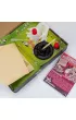 Science 4 You. Zag�ada Dinozaur�w. Large Trefl