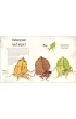 Anthology of Remarkable Bugs