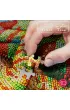 Puzzle 1000 el. Chameleon CherryPazzi