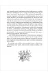 Kolory klasyki. Mansfield Park (barwione brzegi)