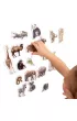 Maksik Zwierz�ta w zoo - zestaw magnes�w