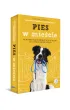 Pies w mie�cie (2024)