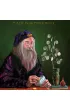 Harry Potter i Kamie Filozoficzny. Tom 1. Wydanie ilustrowane