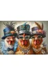Puzzle 500 el. High Society CherryPazzi
