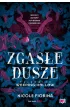 Zgasłe dusze. Tajemnice Weeping Hollow. Tom 1 – Nicole Fiorina – okładka ebook