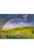 Puzzle 1500 el. T�cza Ravensburger