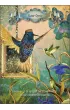 Hummingbird Wisdom Oracle Cards