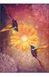 Hummingbird Wisdom Oracle Cards