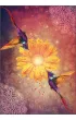 Hummingbird Wisdom Oracle Cards