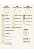 How To Create Manga Drawing Human Body wer. angielska