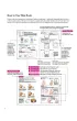 How To Create Manga Drawing Human Body wer. angielska