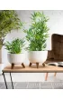HowHomely Donica Rosa linea ECO recykling bia�a