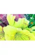 Lightness of Being Affirmation. �ywio� Ziemi